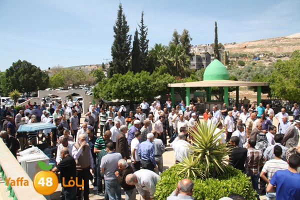 tashye3 04007 (13).JPG